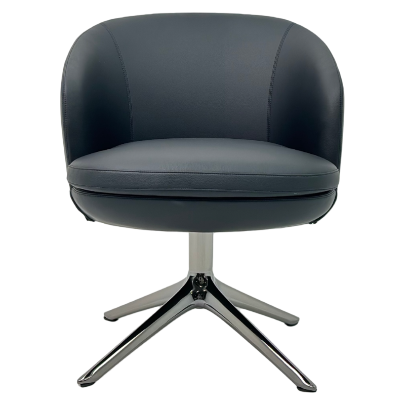 Raphael Dining Chair Metal Frame