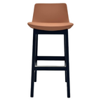 Tula Bar Stool