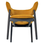 Vergola Armchair